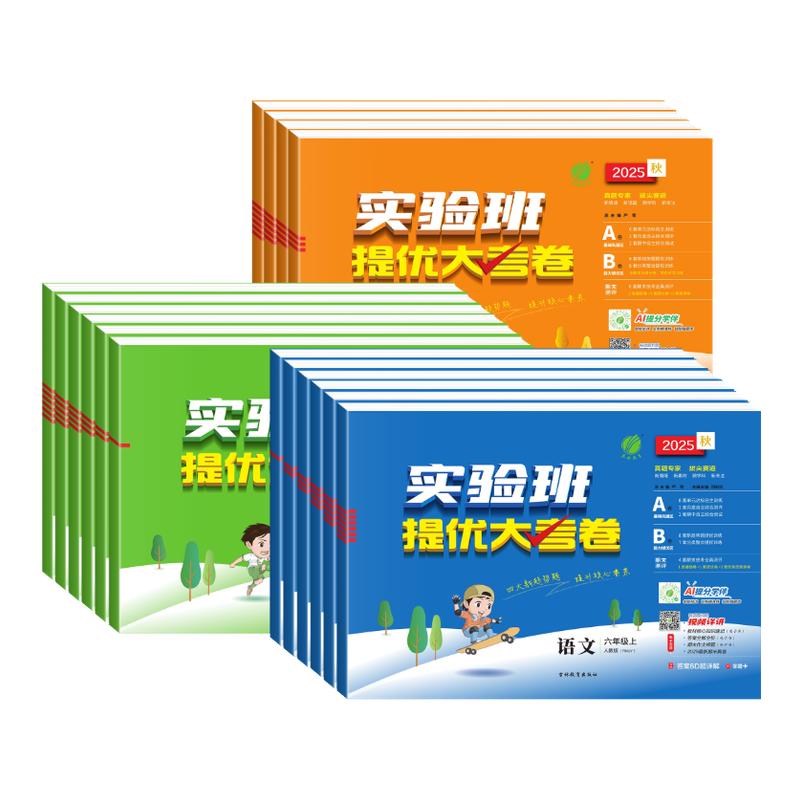 实验班提优大考卷小学