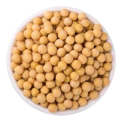 东北黄豆子打大豆浆农家自种