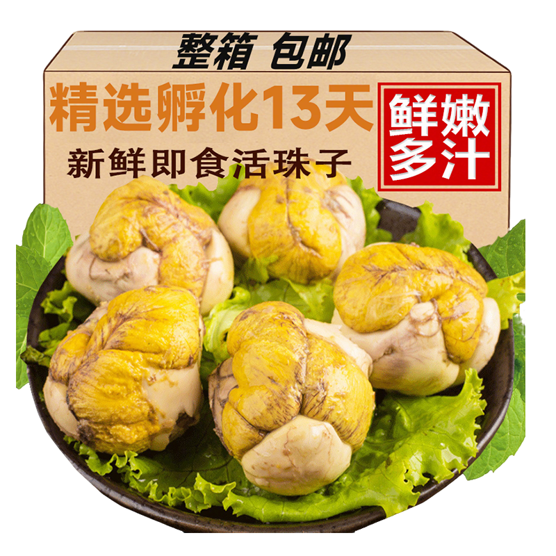 13天活珠子五香香辣味新鲜毛蛋开袋即食美味鸡胚蛋毛蛋喜蛋钢化蛋,水产肉类/新鲜蔬果/熟食,活珠子/毛胚蛋,淘宝优惠券,粉丝福利购,淘宝优惠卷