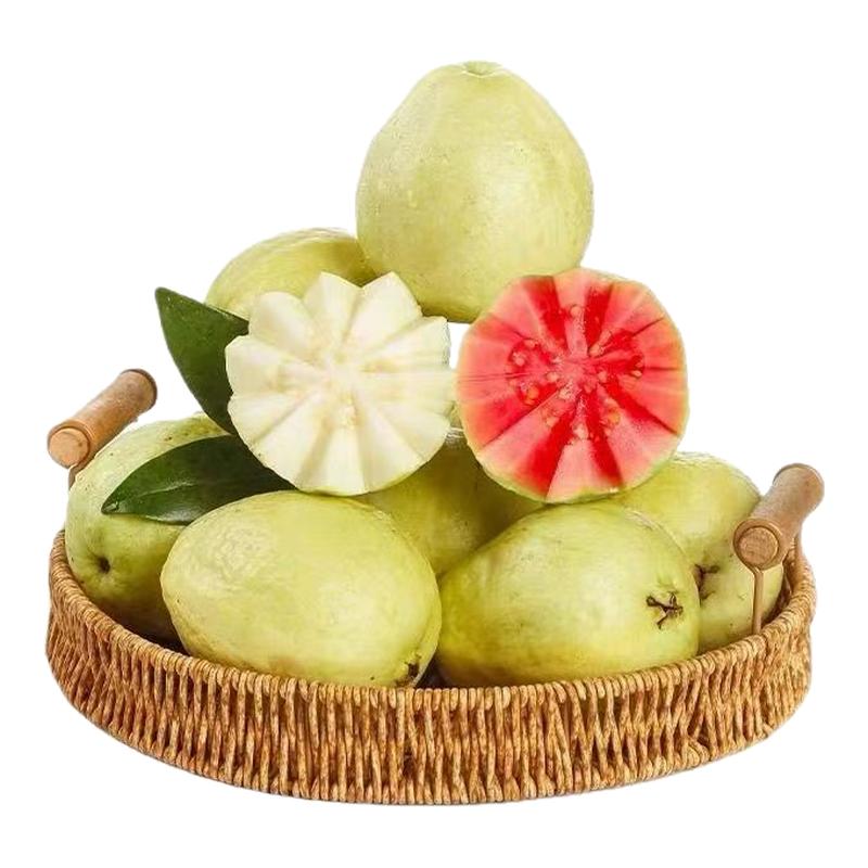 新品广东云南软糯奶油芭乐5斤新鲜水果软心番石榴鸡屎果白心芭乐