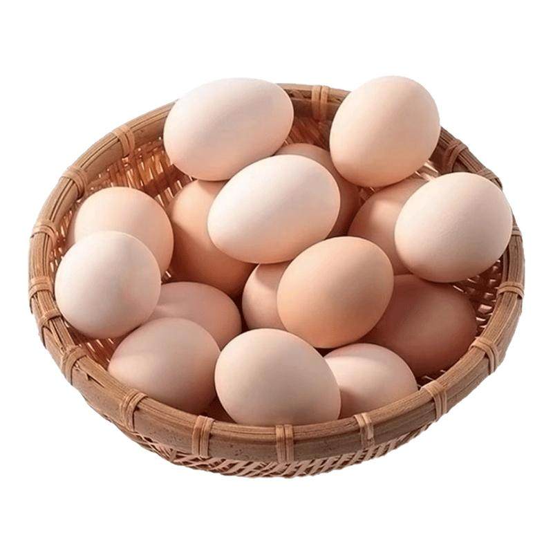 正宗山林散养土鸡蛋虫草蛋谷物蛋笨鸡蛋孕妇营养月子初生蛋多规格,水产肉类/新鲜蔬果/熟食,鸡蛋,淘宝优惠券,粉丝福利购,淘宝优惠卷