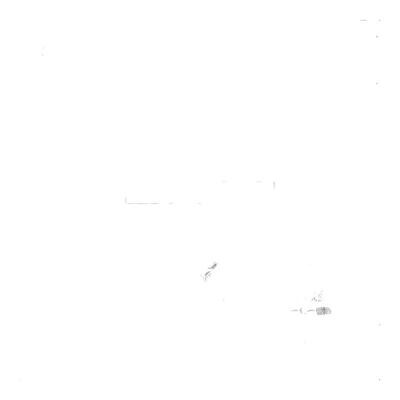 [百亿专属]SaltStone净味香体膏美国进口清香固体香膏75g去异味