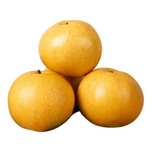 礼盒山东莱阳秋月梨冰糖当季采摘果园直发新鲜多汁纯甜无渣