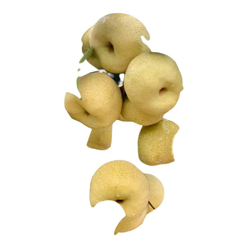 ���ڲ�����3�� ʵ���й� ������ɽ����������������ˮ������ѩ�����������Ƥ������