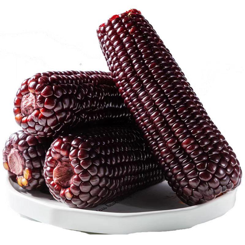 山西黑糯玉米甜糯粘玉米棒真空锁鲜非转基因新鲜粗粮代餐