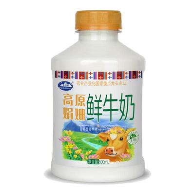 青海湖娟姗鲜牛奶500ml青藏高原优质乳蛋白3.8g巴氏杀菌低温