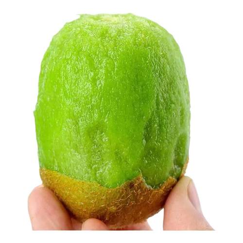 正宗陕西周至翠香猕猴桃眉县新鲜水果绿心奇异果当季应整箱礼盒装