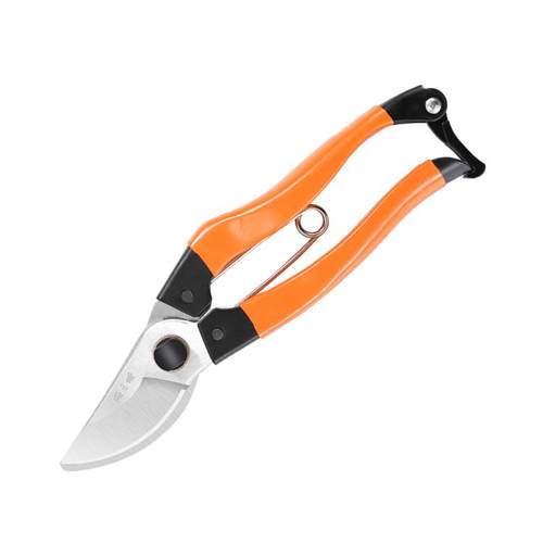 张小泉修枝剪果树园艺树枝专用