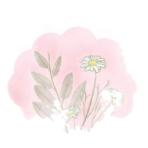 旗舰店花王婴幼儿洗护合一洗发水