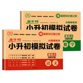 2026小升初真题卷语文数学英语六年级小升初总复习人教版 必刷题小学生毕业升学复习资料下册测试卷子全套期末模拟冲刺专项训练