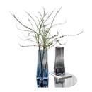 轻奢玻璃花瓶摆件客厅插花高级感水养鲜花水培富贵竹专用侘寂风