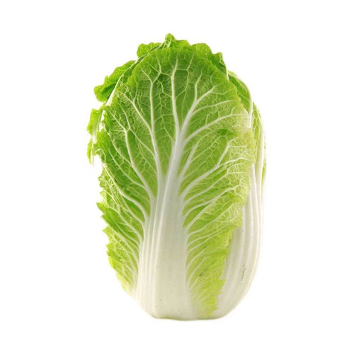 东北特产黄心大白菜新鲜白菜整颗白菜霜打大白菜好吃可口顺丰包邮