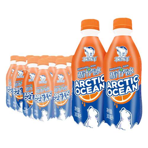 北冰洋桔子汽水300ml*24瓶