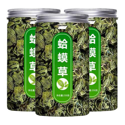 野生蛤蟆草新鲜癞蛤蟆草中药材的功效泡水茶赖河马草荔枝草雪见草