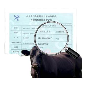 Grain-fed brazilian imported s-grade raw cut oyster meat beef fitness fat-reduced beef