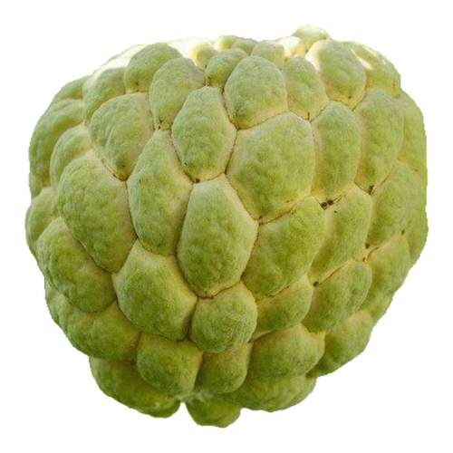 x新品现摘顺丰释迦果新鲜番荔枝大目凤梨牛奶佛头果林檎摩尼果