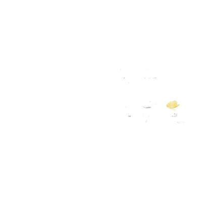GNC健安喜男女每日营养包维生素