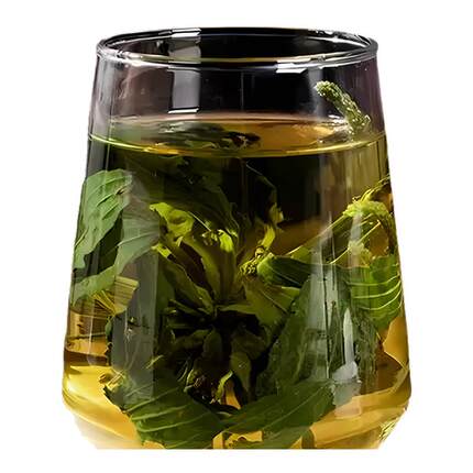 车前草中药材正品官方旗舰店干货野生新鲜车前草干泡水喝泡养生茶