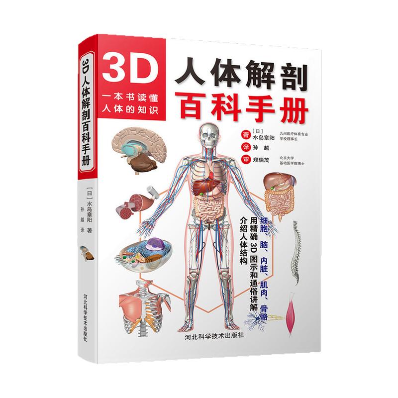 3D人体解剖百科手册人体结构图鉴