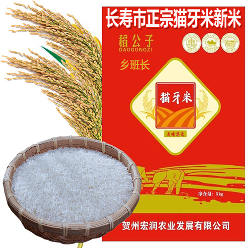 原生态猫牙米长粒香米长寿乡贺州
