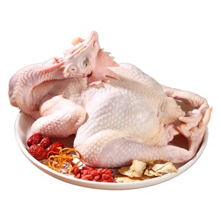 燕归谷老母鸡1200g农家散养走地鸡笨鸡月子鸡新鲜现杀顺丰 包邮