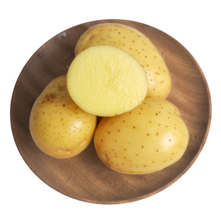 【好物体验专享】内蒙黄心土豆农家黄皮有机马铃薯武川特产粉糯