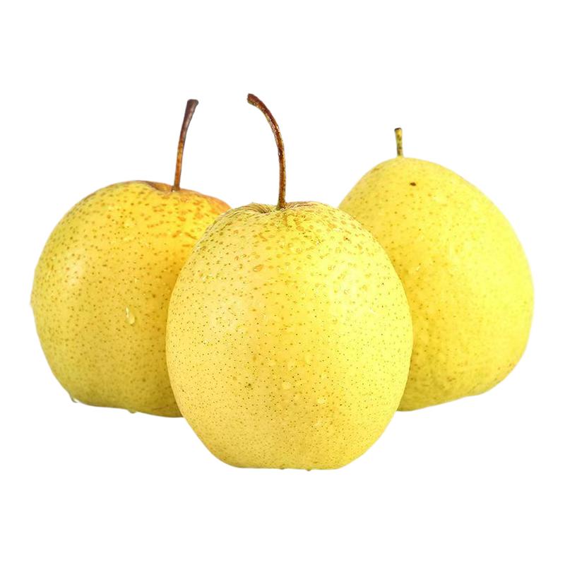 正宗雪梨河北特产赵县雪花梨子新鲜水果梨子当季雪梨