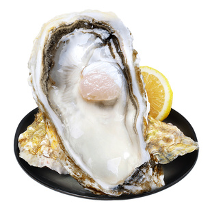 贝司令有机鲜活乳山生蚝2.5两/只*18只绿色高品质牡蛎海蛎子批发