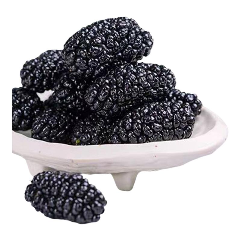 桑葚干四川桑葚干黑桑椹250g特级大颗粒新货桑葚干泡酒桑葚干泡茶