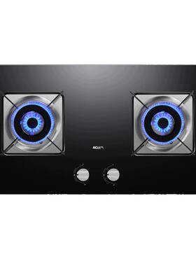 新品上市名气燃气灶双猛火天然气液化气A6010G/A6110B/A6675B