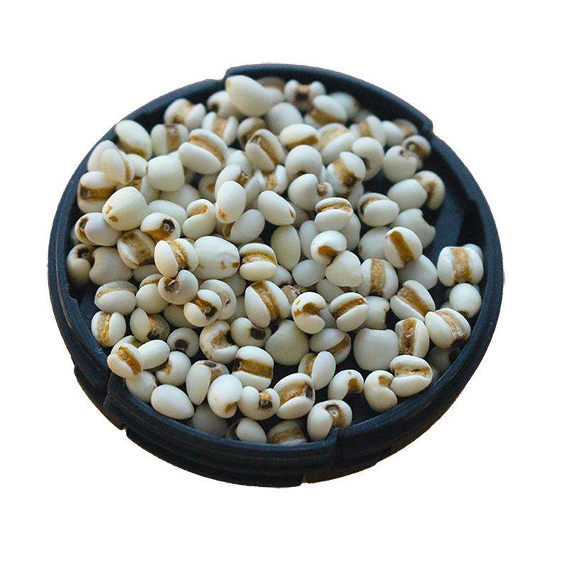 宇创康园贵州兴仁小薏米2025年秋收新货无霉味无熏硫新鲜小苡仁米,粮油调味/速食/干货/烘焙,薏米,淘宝优惠券,粉丝福利购,淘宝优惠卷