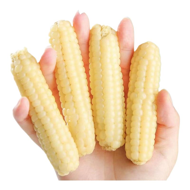 云南西双版纳香糯拇指小玉米新鲜即食真空装婴儿玉米宝宝手指玉米