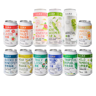 大九酿造国产精酿啤酒就酱西柚世界无序古斯酸啤果啤浑浊ipa混搭