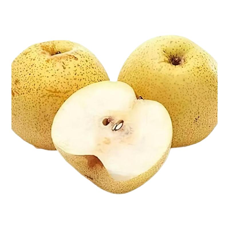 ڲ9 д 9ɽӦɽժѩˮ