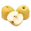 包邮 梨子新鲜9斤砀山梨应季 安徽山梨现摘香雪梨水果梨脆甜整箱