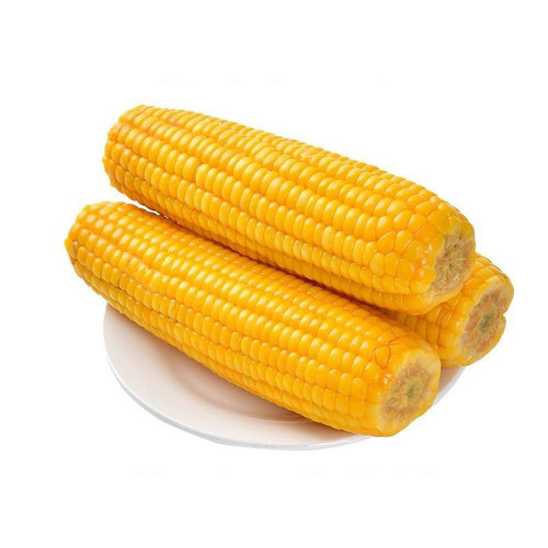新鲜笨玉米老式玉米苞谷2026头茬