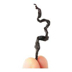 青钱柳茶500g正品特级野生古树嫩芽无糖养生茶金钱柳绥宁青钱柳