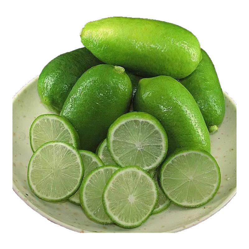 ڲ Ʒ㶫ˮһӦˮ̲ר 2.8Ԫ