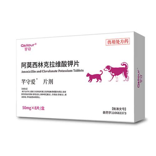 阿莫西林克拉维酸钾猫咪宠物专用狗狗消炎药猫感冒鼻支速泌诺尿片