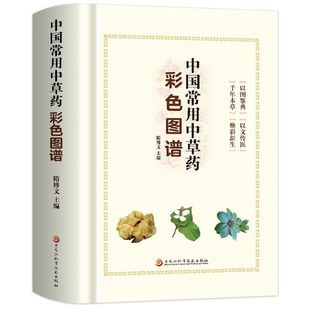 中国常用中草药彩色图谱 植物类药材细分根茎叶花果实种子类 零基础中医爱好者入门与药材鉴别宝典中药从业者与爱好者实用速查手册