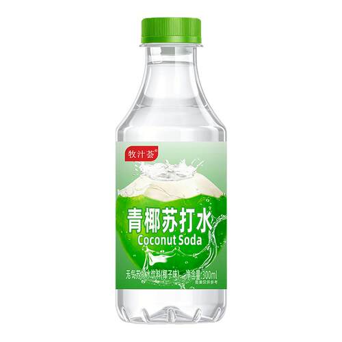 整箱24瓶青椰苏打水300ml补水