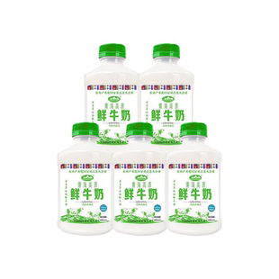 青海湖高原鲜牛奶500ml 5瓶巴氏杀菌成人儿童低温高原鲜牛奶