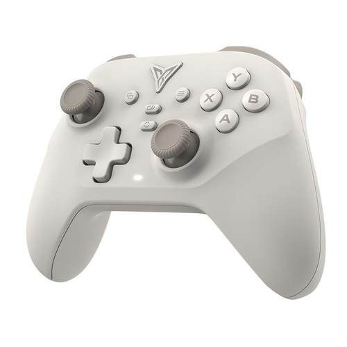 【入门标杆】飞智沙漠狐游戏手柄黑神话悟空switch2手柄pc手柄电脑版无线蓝牙ipad手机类似xboxsteam手柄