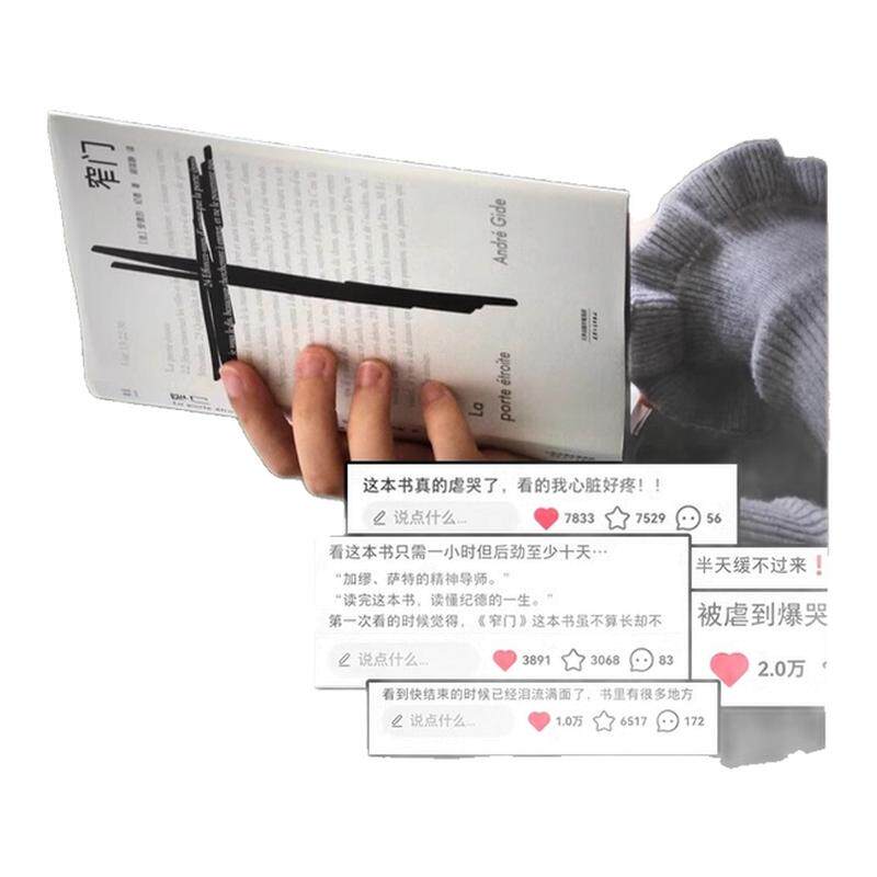 【正版书籍】窄门 纪德 诺贝尔文学奖经典 读完《窄门》便读懂了纪德的一生 法文直译全新版 外国文学 世界名著 长篇小说