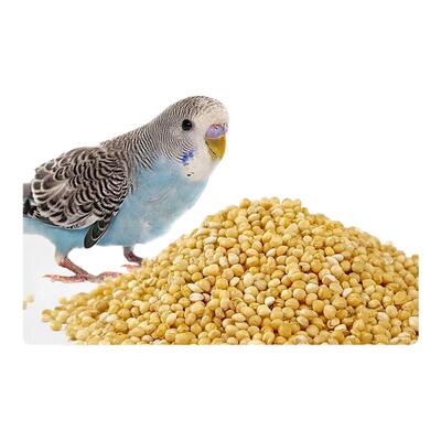 全网热销0添加！【鹦鹉鸟粮】