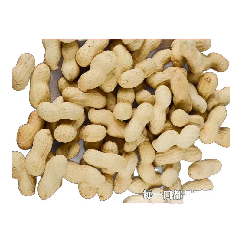 新货小珍珠花生炒货散装