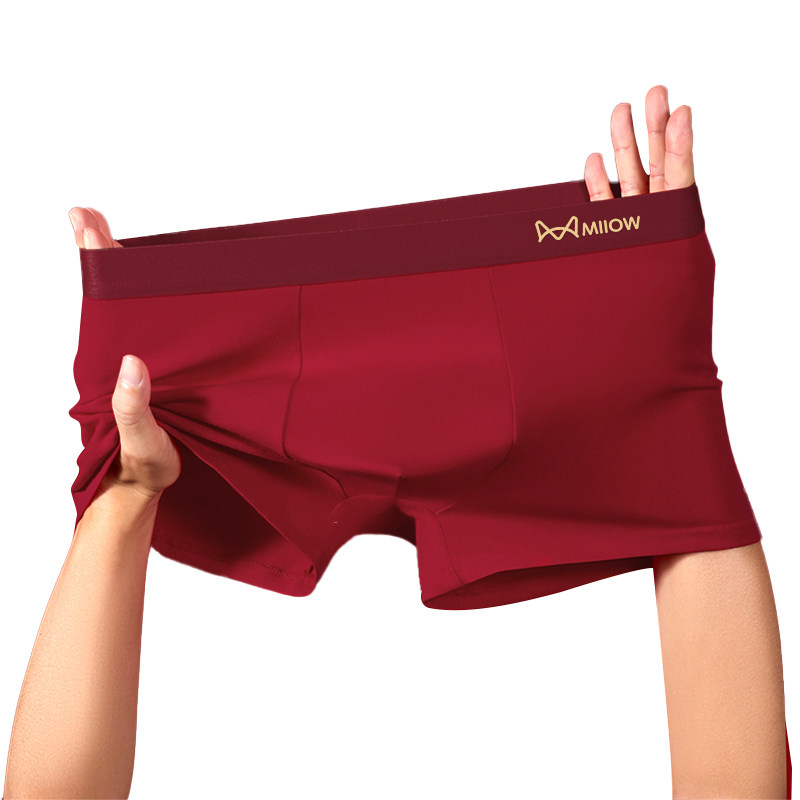 ���ڲ��������ڿ�2��+����2˫�������½���+10A�����ɡ� L è����ʿ���ɫ����ƽ�Ƕ̿� 33.9Ԫ