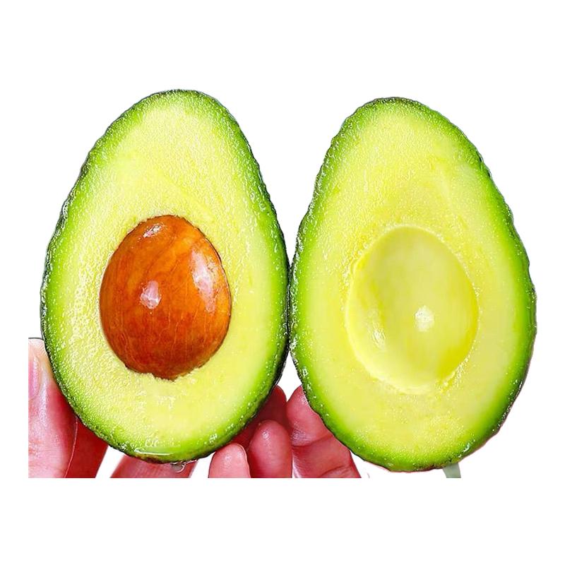 xj精选国产云南孟连哈斯牛油果鳄梨一级牛油果宝宝辅食