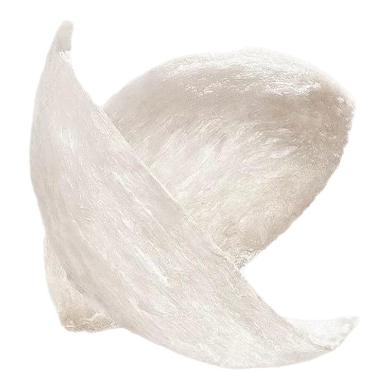 【佳节礼盒】正品燕窝CAIQ印尼马来燕窝孕妇干挑疏蜜三角盏旗舰店