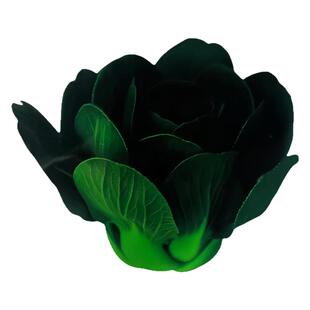 墨小宝黑叶青梗菜宁夏矮脚苏州青菜种籽上海青菜种子耐寒秋太湖菜